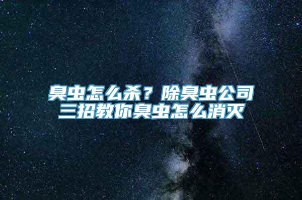 臭虫怎么杀？除臭虫公司三招教你臭虫怎么消灭