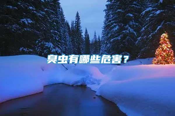 臭虫有哪些危害？