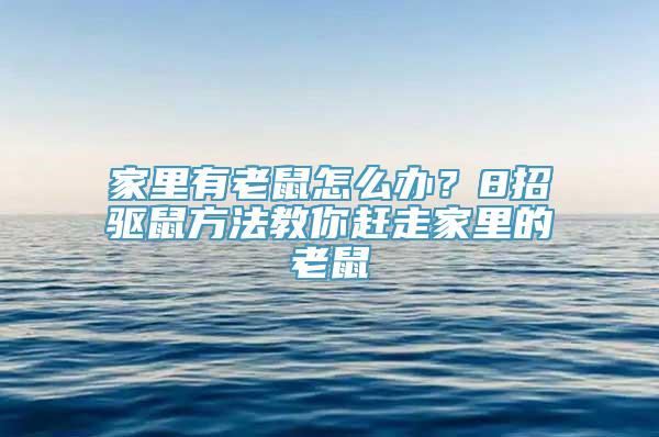家里有老鼠怎么办？8招驱鼠方法教你赶走家里的老鼠