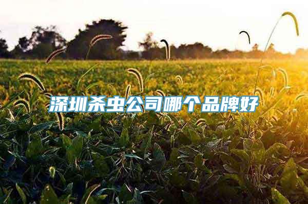 深圳杀虫公司哪个品牌好