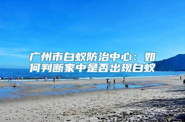 广州市白蚁防治中心：如何判断家中是否出现白蚁