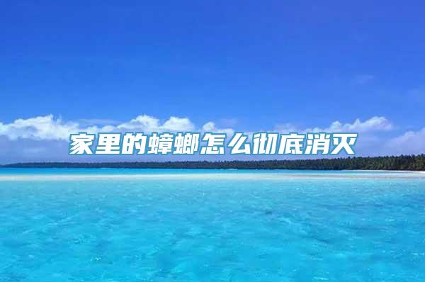 家里的蟑螂怎么彻底消灭