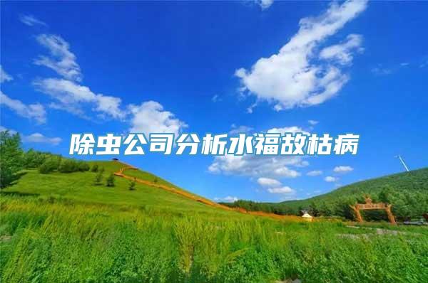 除虫公司分析水福故枯病