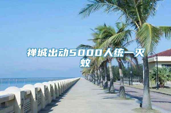 禅城出动5000人统一灭蚊