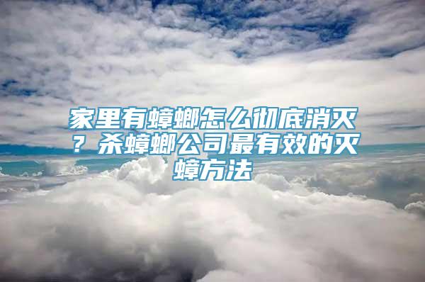 家里有蟑螂怎么彻底消灭？杀蟑螂公司最有效的灭蟑方法