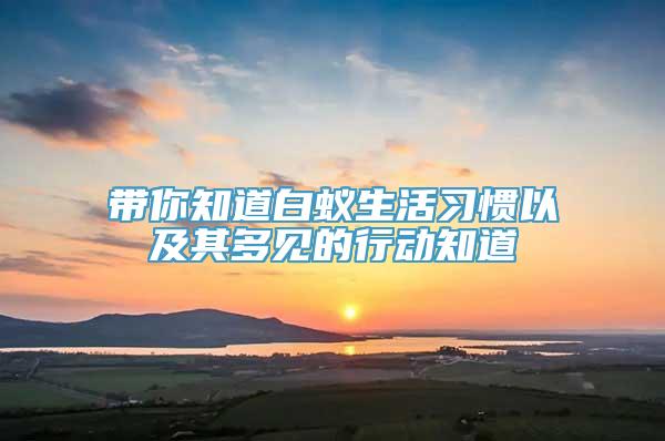 带你知道白蚁生活习惯以及其多见的行动知道