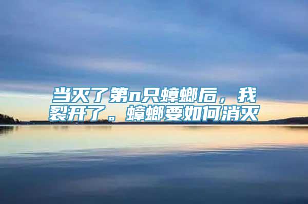 当灭了第n只蟑螂后，我裂开了。蟑螂要如何消灭