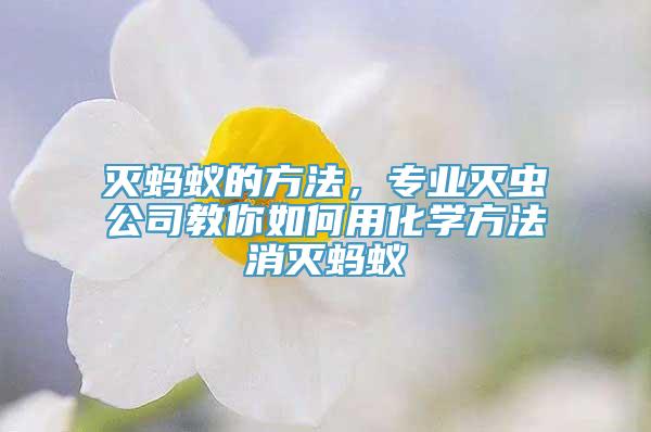 灭蚂蚁的方法，专业灭虫公司教你如何用化学方法消灭蚂蚁