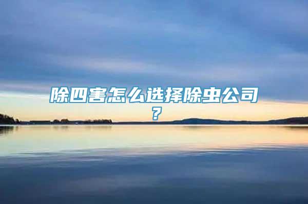 除四害怎么选择除虫公司？