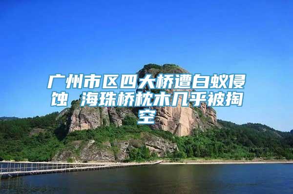 广州市区四大桥遭白蚁侵蚀 海珠桥枕木几乎被掏空