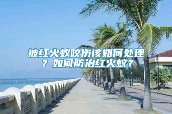 被红火蚁咬伤该如何处理？如何防治红火蚁？
