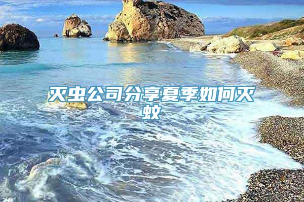 灭虫公司分享夏季如何灭蚊