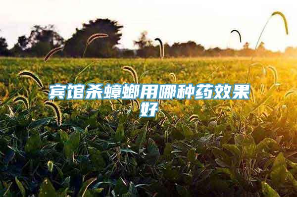 宾馆杀蟑螂用哪种药效果好