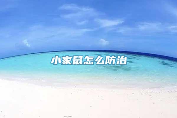 小家鼠怎么防治