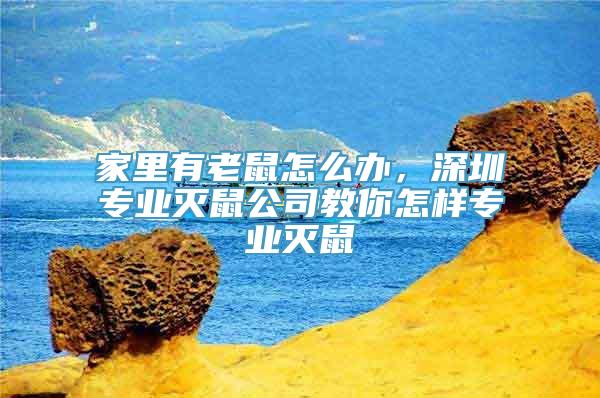 家里有老鼠怎么办，深圳专业灭鼠公司教你怎样专业灭鼠