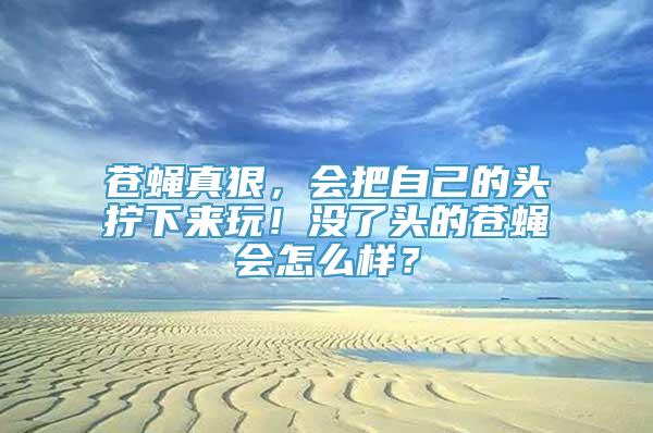 苍蝇真狠，会把自己的头拧下来玩！没了头的苍蝇会怎么样？