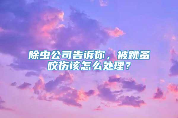 除虫公司告诉你，被跳蚤咬伤该怎么处理？