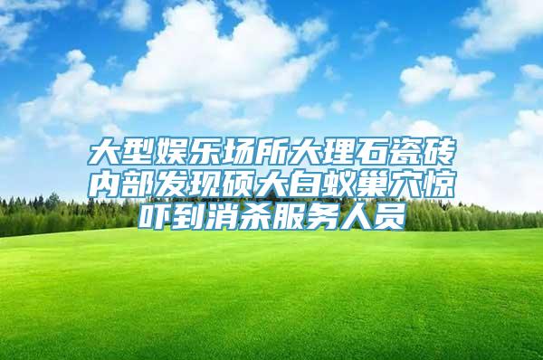 大型娱乐场所大理石瓷砖内部发现硕大白蚁巢穴惊吓到消杀服务人员