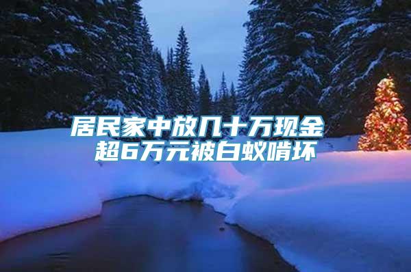 居民家中放几十万现金 超6万元被白蚁啃坏