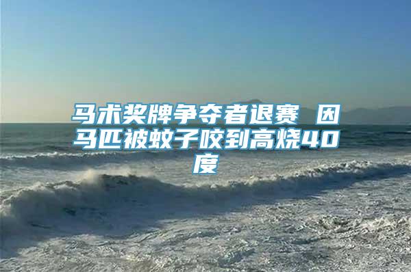 马术奖牌争夺者退赛 因马匹被蚊子咬到高烧40度