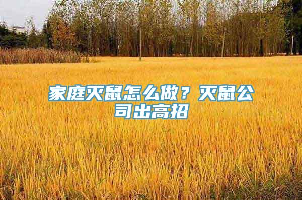 家庭灭鼠怎么做？灭鼠公司出高招