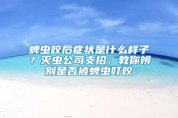 蜱虫咬后症状是什么样子？灭虫公司支招：教你辨别是否被蜱虫叮咬