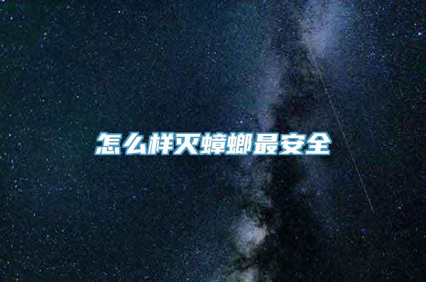 怎么样灭蟑螂最安全