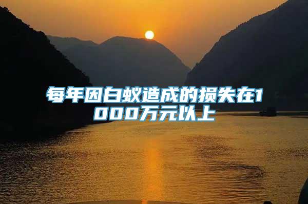 每年因白蚁造成的损失在1000万元以上