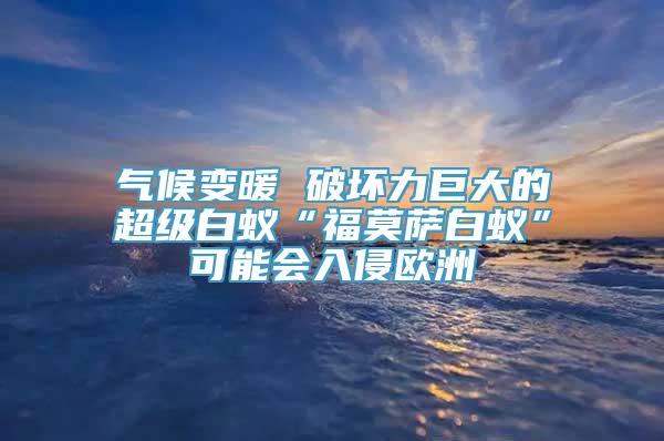 气候变暖 破坏力巨大的超级白蚁“福莫萨白蚁”可能会入侵欧洲