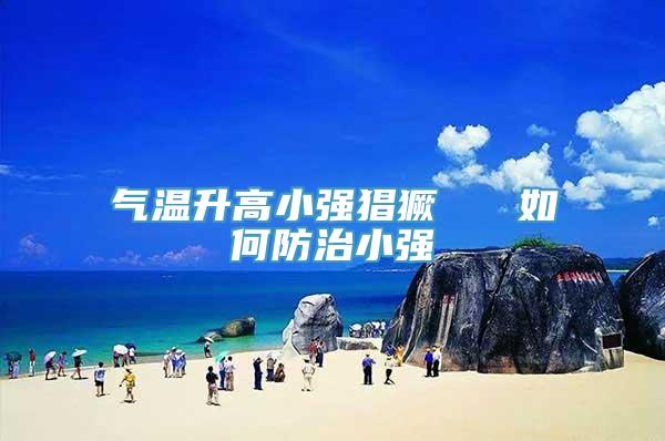 气温升高小强猖獗   如何防治小强