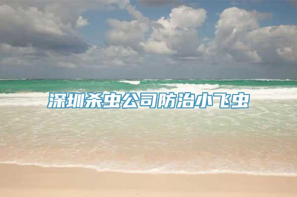 深圳杀虫公司防治小飞虫