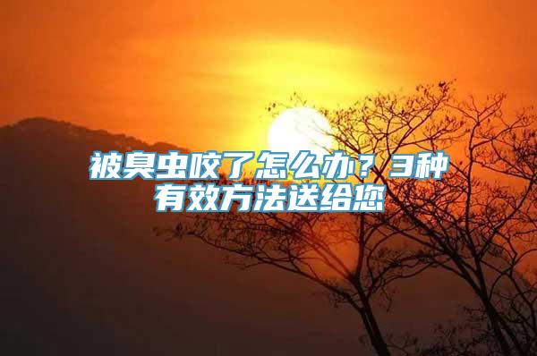 被臭虫咬了怎么办？3种有效方法送给您