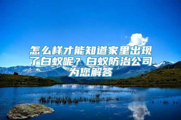 怎么样才能知道家里出现了白蚁呢？白蚁防治公司为您解答