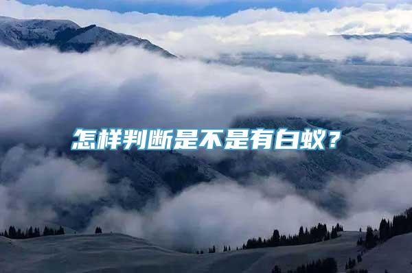 怎样判断是不是有白蚁？