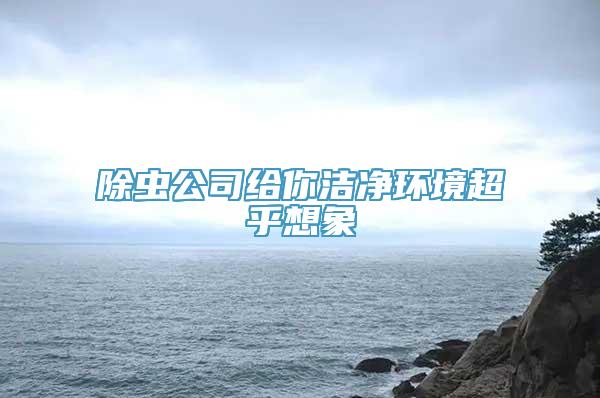 除虫公司给你洁净环境超乎想象