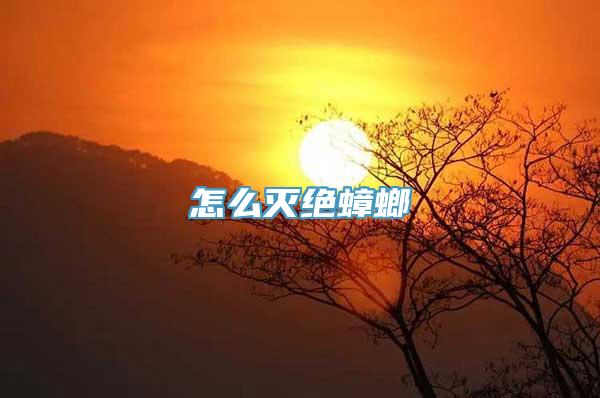 怎么灭绝蟑螂