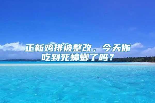 正新鸡排被整改，今天你吃到死蟑螂了吗？