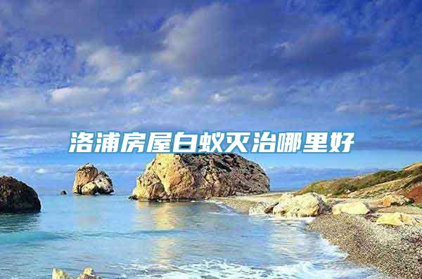 洛浦房屋白蚁灭治哪里好