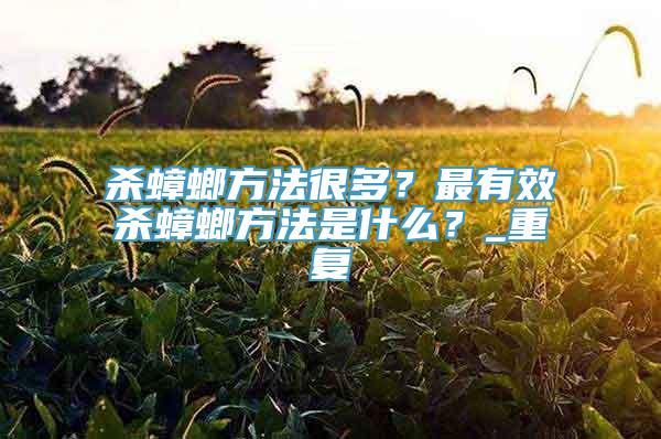 杀蟑螂方法很多？最有效杀蟑螂方法是什么？_重复