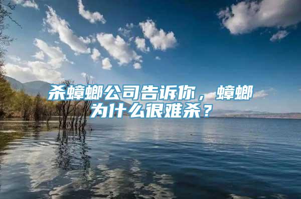 杀蟑螂公司告诉你，蟑螂为什么很难杀？