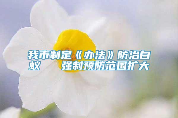 我市制定《办法》防治白蚁   强制预防范围扩大