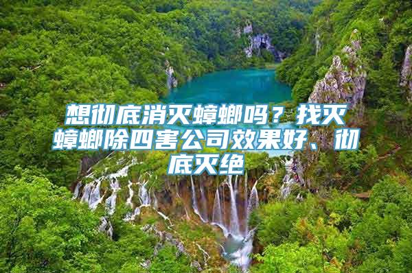 想彻底消灭蟑螂吗？找灭蟑螂除四害公司效果好、彻底灭绝