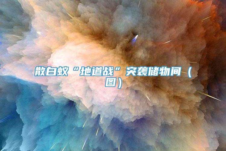 散白蚁“地道战”突袭储物间（图）