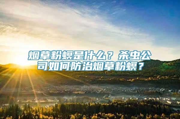 烟草粉螟是什么？杀虫公司如何防治烟草粉螟？