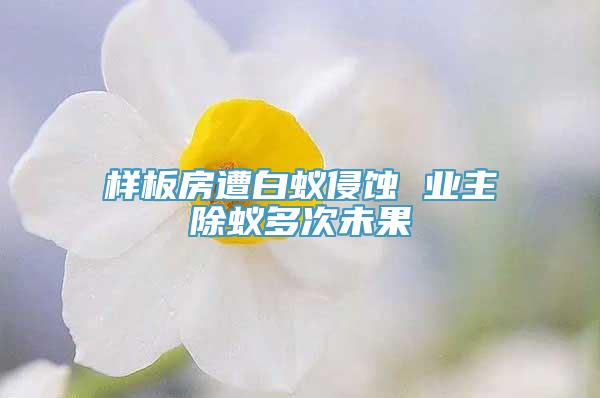 样板房遭白蚁侵蚀 业主除蚁多次未果