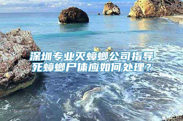 深圳专业灭蟑螂公司指导死蟑螂尸体应如何处理？