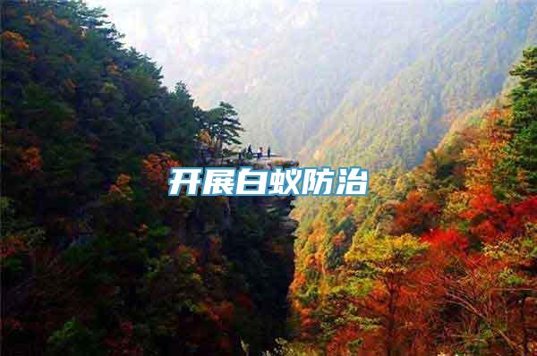 开展白蚁防治