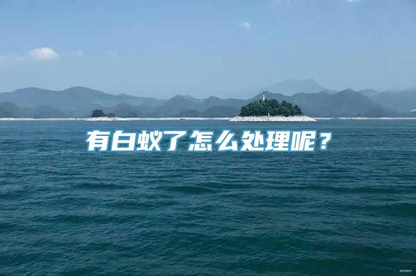 有白蚁了怎么处理呢？