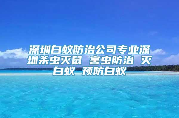 深圳白蚁防治公司专业深圳杀虫灭鼠 害虫防治 灭白蚁 预防白蚁