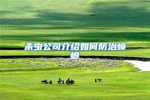 杀虫公司介绍如何防治蟑螂
